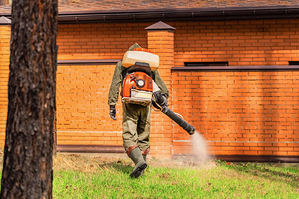 Trusted Bed Bug Control service in Union City, IN - Nex Pest Control
